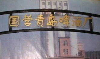 青島市委書記 濟南正沖刺一萬億gdp大關,我們要有緊迫感
